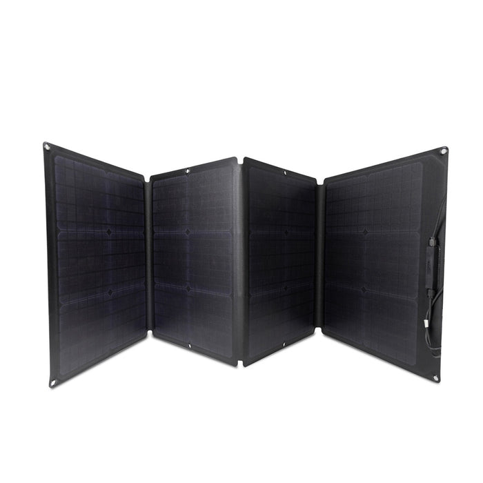 EcoFlow pannello solare 110w