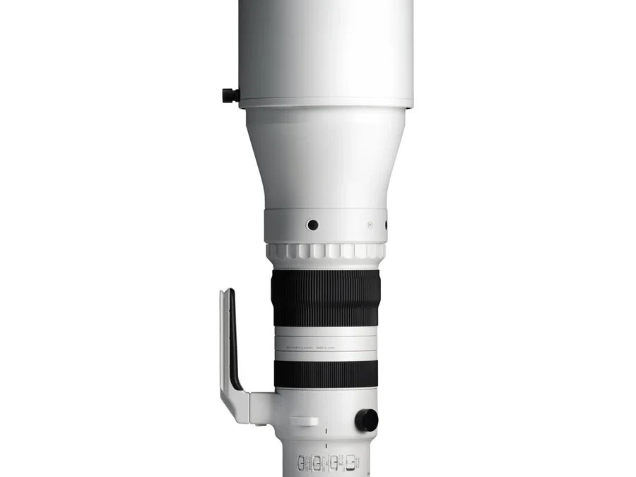 Sigma 300-600mm F4 DG OS SPORT (Per Sony E) DEMO