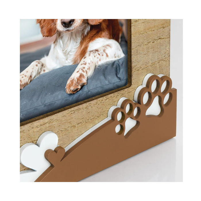 zep-marley-cornice-10x15-dettaglio-zampetta