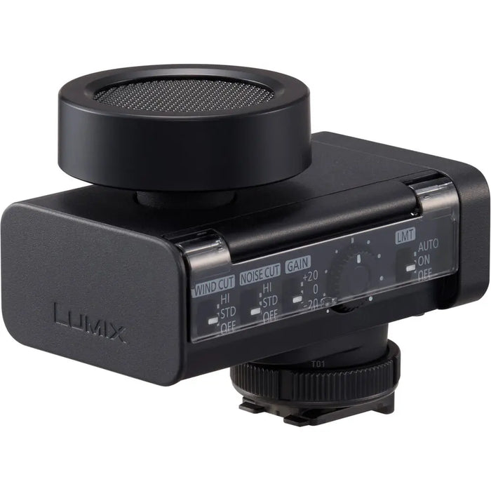 Panasonic Lumix DMW-DMS1 Microfono