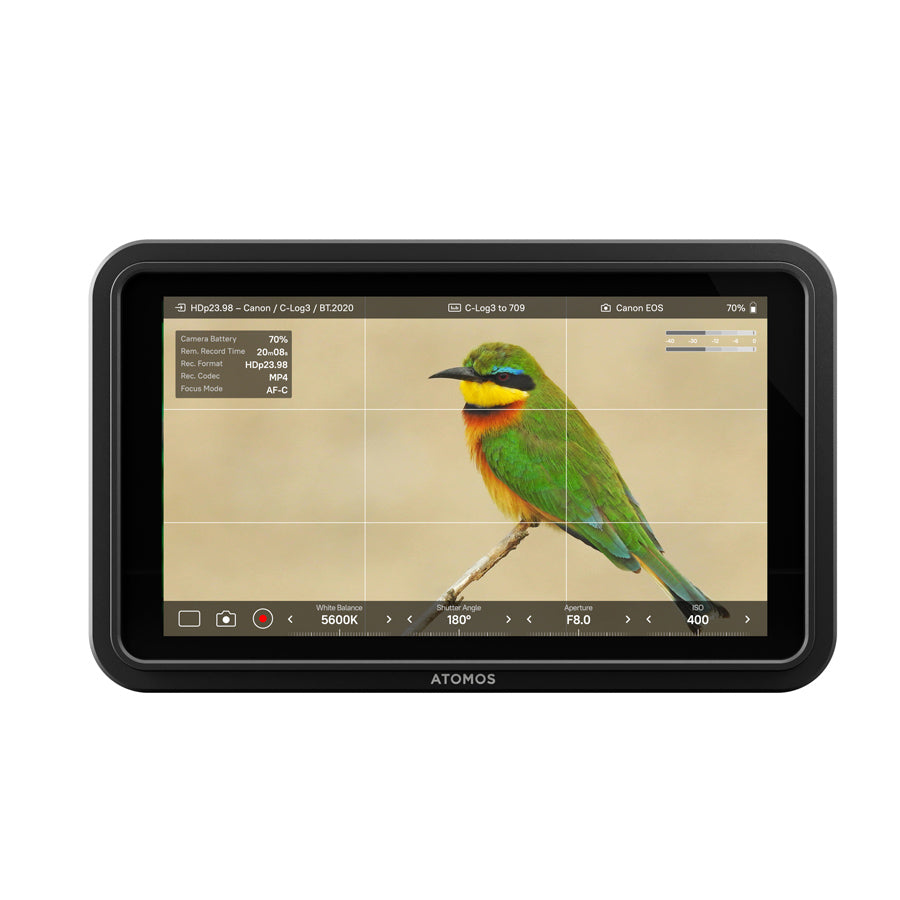 Monitor e recorder